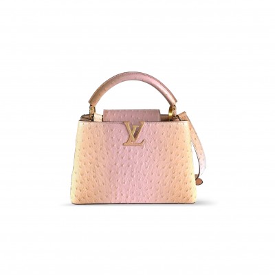 LOUIS VUITTON CAPUCINES BB  N89025 (27*18*9cm)
